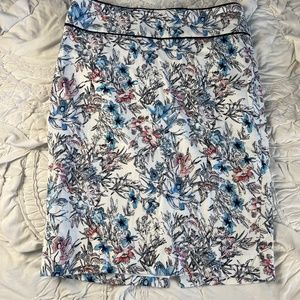 Ann Taylor Skirt Size 2